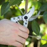 Quick Release Bypass Pruner