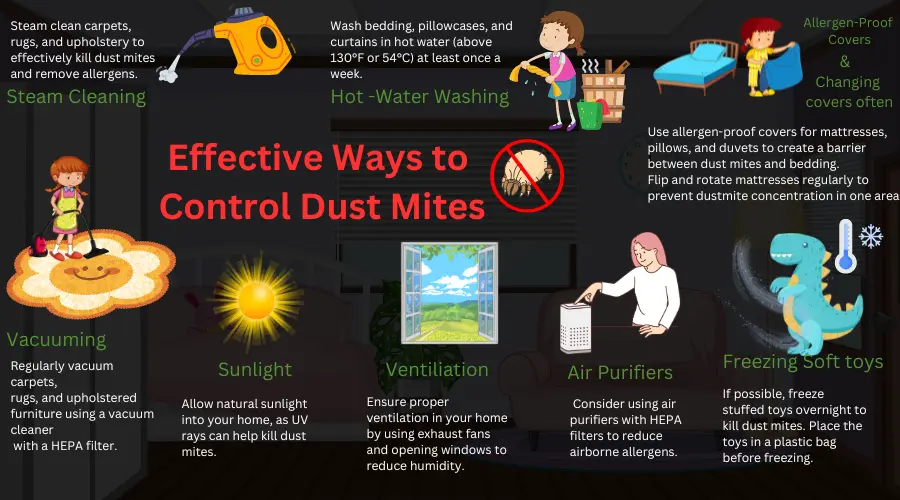 Effective Ways to control Dust Mites