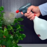 1L Battery Powered Hand Sprayer