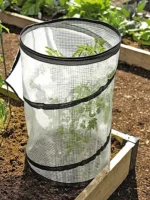 Pop Up Tomato Plant Protector