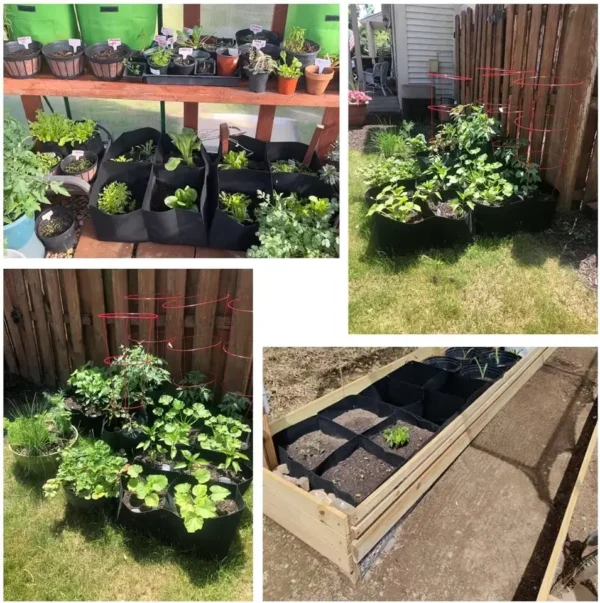 Grow Bed with 8 Compartments