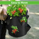 Strawberry Grow Bag 7 Gallon Black