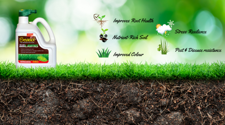 The Ultimate Guide to Using Seasol for Lawns - Pestrol Australia