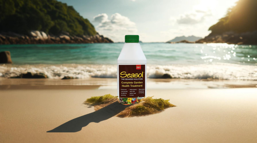 The Surprising Benefits of Seasol - Pestrol Australia