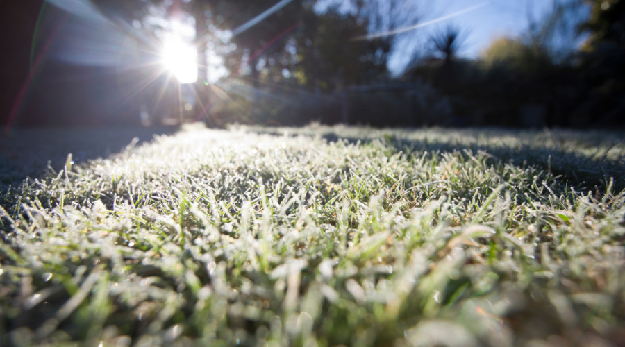 How to care for your Lawn during winter in Australia