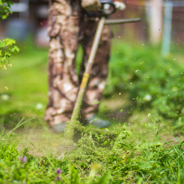 How to Care for your Lawn during Winter in Australia