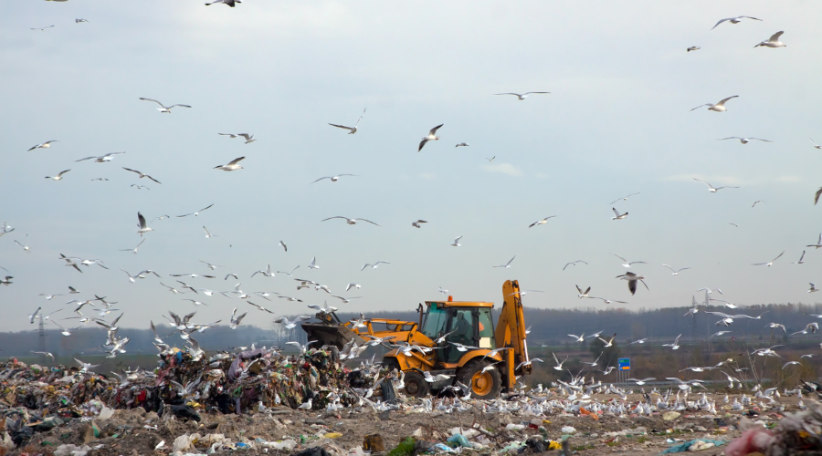 Protect Landfill using Bird Netting