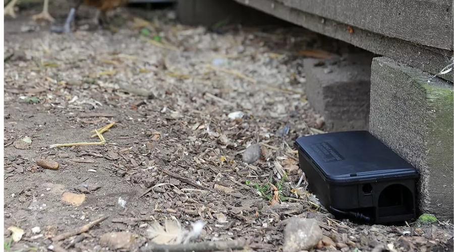 How to use Rodent Bait Station the Right Way for Effective Rodent Control