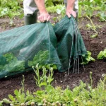 Anti pest grow tunnel