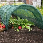 Antipest grow tunnel