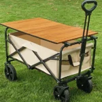 Wagon trolley