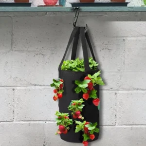 Strawberry grow bag