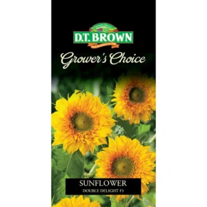 Sunflower Double Delight