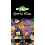 DT Brown Grower's Choice Pansy Mini Bambini