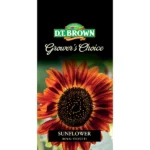 DT Brown Grower's Choice Sunflower Royal Velvet