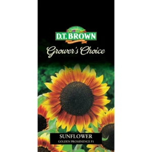 Sunflower Golden Prominence