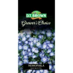 DT Brown Grower's Choice Nemophila Baby Blue Eyes