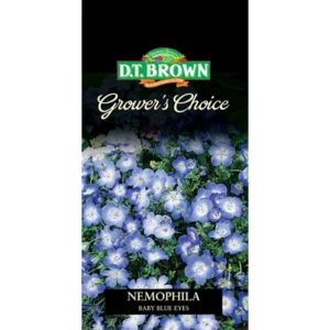 DT Brown Grower's Choice Nemophila Baby Blue Eyes