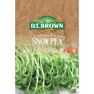 DT Brown Sprouting Snow Pea Seeds