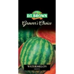 DT Brown Grower's Choice Watermelon Sweetie Seeds