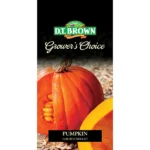 DT Brown Grower's Choice Pumpkin Golden Nugget