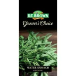 DT Brown Grower's Choice Water Spinach Seeds