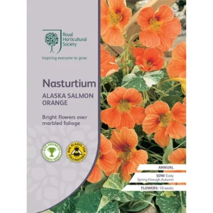 RHS Nasturtium Alaska Salmon Orange