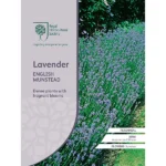 RHS Lavender English