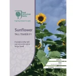 RHS Sunflower Tall Timber