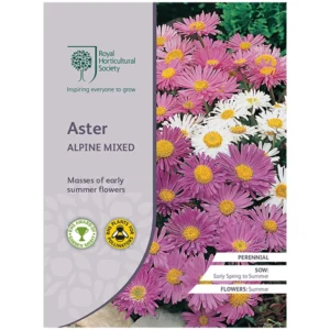 RHS Aster Alpine Mixed