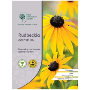 RHS Rudbeckia Goldsturm