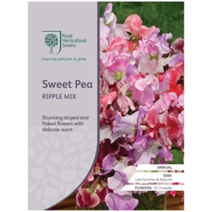 RHS Sweet Pea Ripple Mix