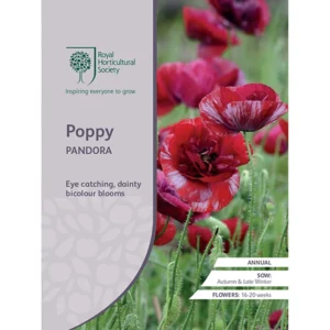 RHS Poppy Pandora