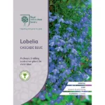 RHS Lobelia Cascade Blue