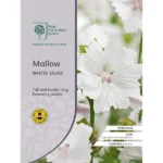 RHS Mallow White Musk