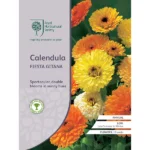 RHS Calendula Fiesta Gitana