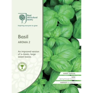 RHS Basil Aroma 2, large sweet basil leaves