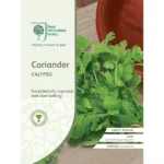 RHS Coriander Calypso