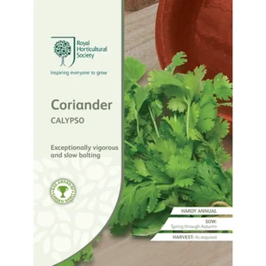 RHS Coriander Calypso, vigorous slow-bolting coriander variety