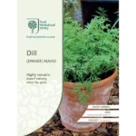 RHS Dill Nano Dwarf