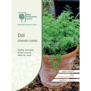 RHS Dill Dwarf Nano, compact dill variety for pots and gardens