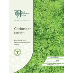 RHS Coriander Confetti, delicately aromatic leaves with attractive foliage