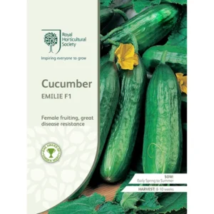 RHS Cucumber Emilie F1, female fruiting variety with disease resistance