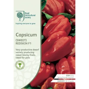 RHS Capsicum Sweet Redskin F1, productive dwarf pepper with blocky red fruits.