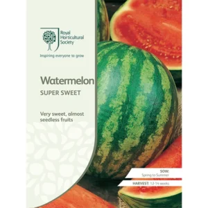 RHS Watermelon Super Sweet, very sweet watermelon with almost seedless fruits