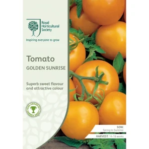 RHS Tomato Golden Sunrise, sweet yellow tomatoes with vibrant color.