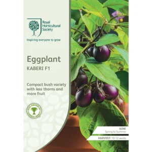 RHS Eggplant Kaberi F1, compact bush eggplant with high yields.