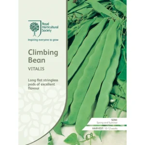 RHS Climbing Bean Vitalis, long flat stringless pods with excellent flavor