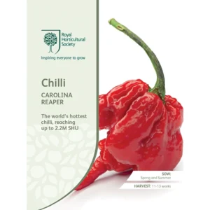 RHS Chilli Carolina Reaper, world's hottest chilli with a fiery red appearance