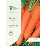 RHS Carrot Maestro F1